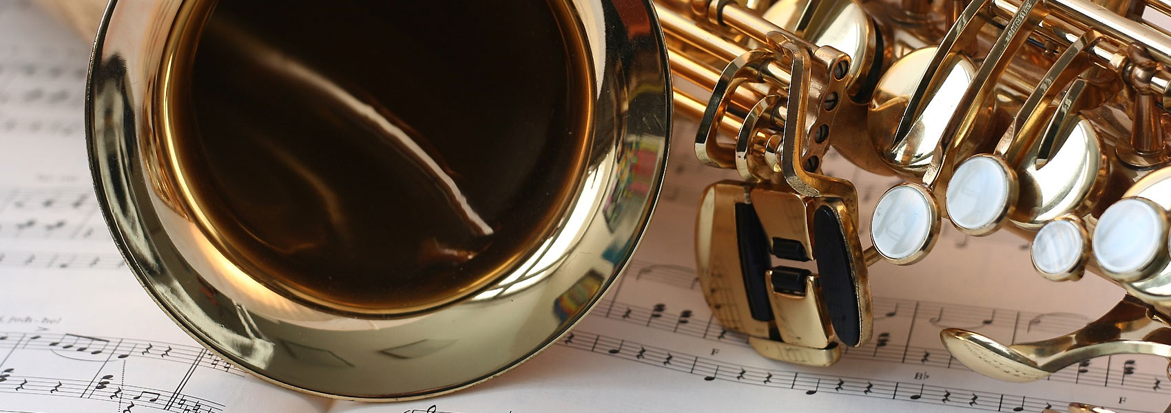 set25 tampons saxophone alto résonateur métal - Le Saxophone